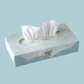 ANGEL SOFT 2 PLY FACIAL TISSUE 30 PACKS OF 100 8.85 X 7.65