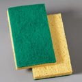 SPONGE and SCRUBBER CEL.