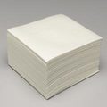 PRISM AIRLAID.25    FOLD 12 inchX13