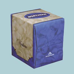 FACIAL TISSUE NORTHERN CUBE BOX